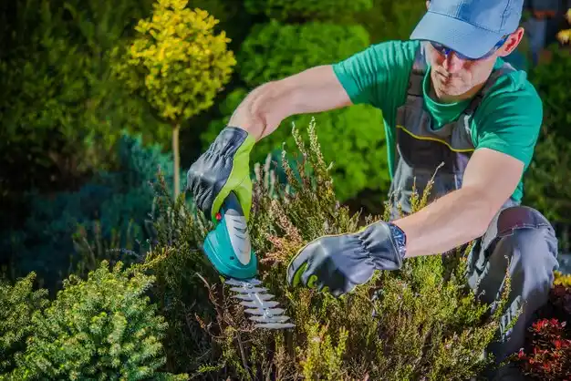 landscaping services Polo